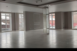  ПСН 251,4 м² с панорамными окнами в Центре (БЕЗ КОМИССИИ)