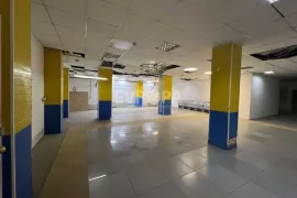 Помещение Торговое Склад 550 м²