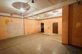 ПСН 46 м² (1 этаж, 20 кВт) + Гараж 55 м²