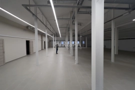 250–1000 м² | газовое отопление | 100 кВт